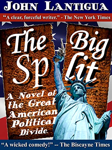 The Big Split of the Near Future book cover