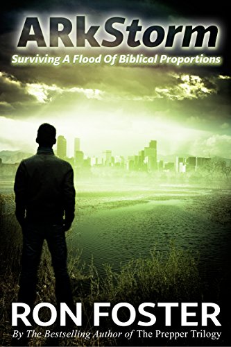 ARkStorm book cover