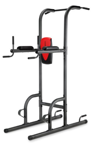 Weider Power Tower with Dip and VKR Stations
