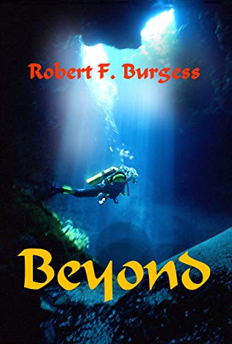 Beyond book cover
