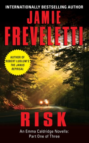 Risk book cover