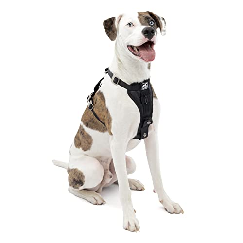 Kurgo Tru-Fit Hundegeschirr fürs Auto