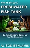How To Set Up A Freshwater Fish Tank Quickstart Guide To Setting Up Your First Aquarium English Edition