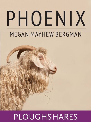 Phoenix (By: Megan Mayhew Bergman) cover