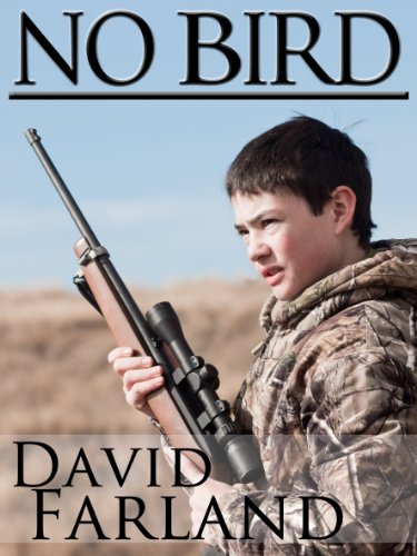 No Bird book cover