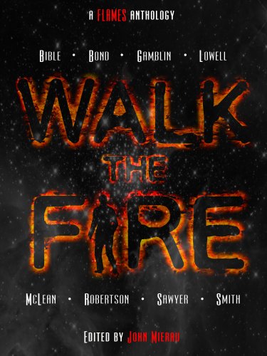 Walk The Fire book cover