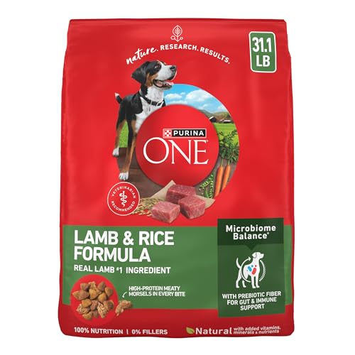 Purina ONE Plus Large Breed Adult Dog Food