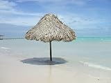 The Tropics Are Calling And Its For You
