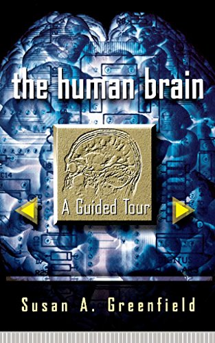 The Human Brain (By: Susan A. Greenfield) cover