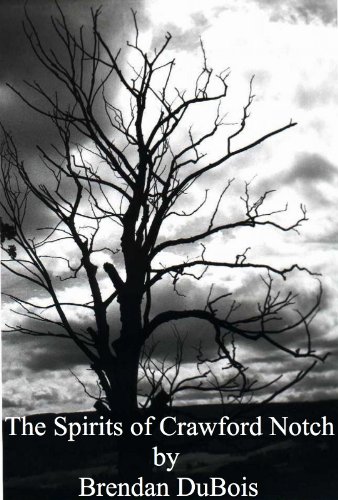 The Spirits of Crawford Notch book cover