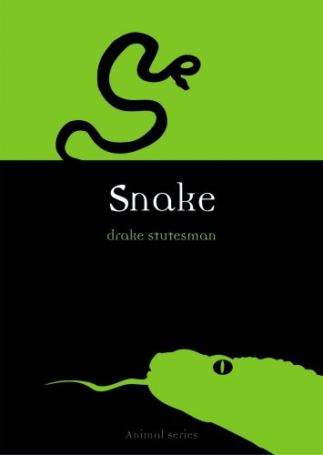 Snake book cover