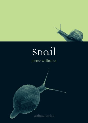 Snail (By: Peter Williams) cover