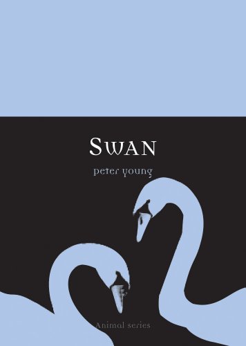 Swan (By: Peter Young) cover