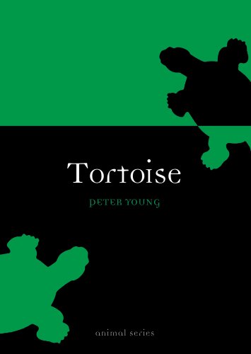 Tortoise book cover
