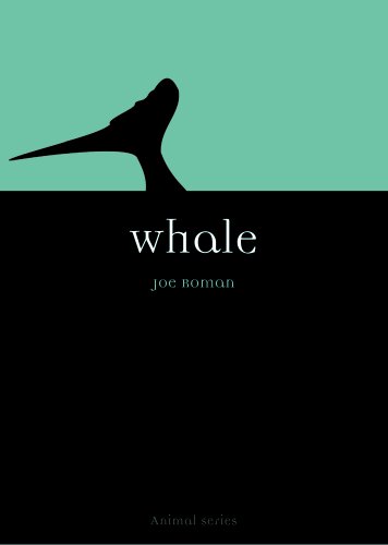Whale book cover