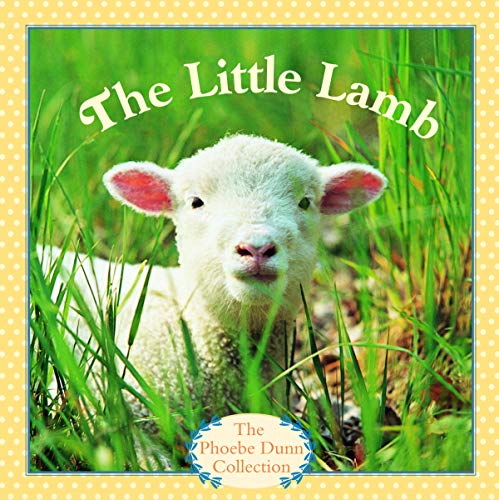 The Little Lamb (By: Phoebe Dunn) cover