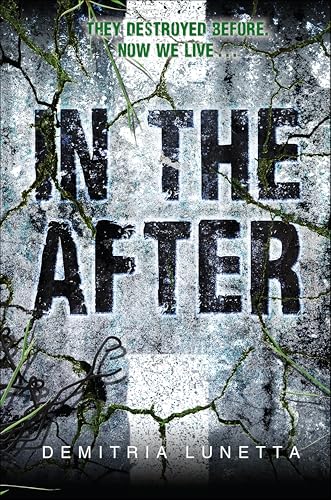 In the After book cover
