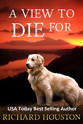A View to Die For book cover