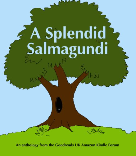 A Splendid Salmagundi book cover