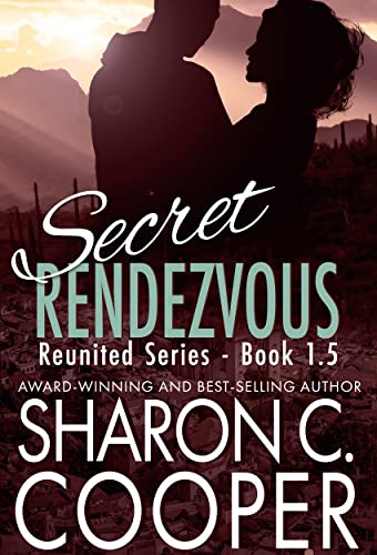 Secret Rendezvous book cover