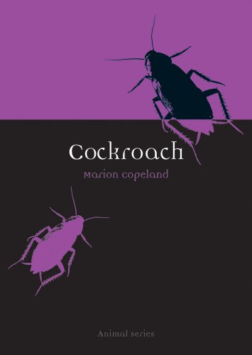 Cockroach book cover