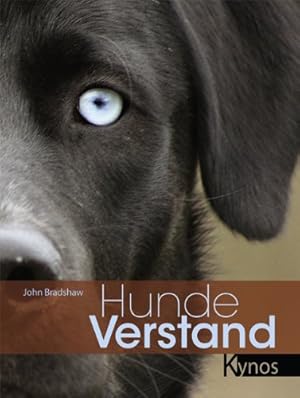 Hunde: Die besten Freunde des Menschen John Bradshaw
