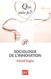Sociologie De Linnovation Que Saisje N 3921