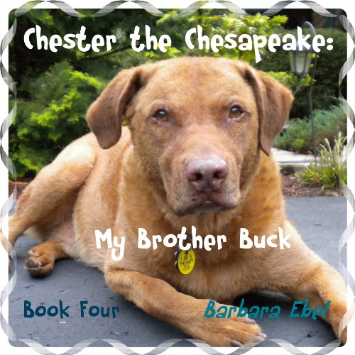 My Brother Buck book cover