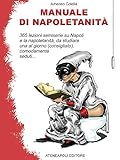 Manuale Di Napoletanit Italian Edition
