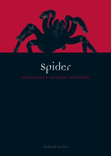 Spider book cover
