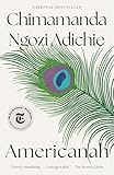 Americanah Ala Notable Books For Adults