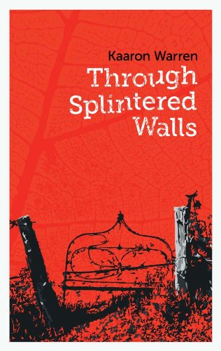 Through Splintered Walls book cover