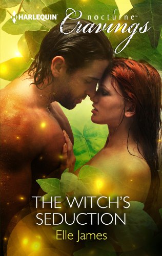 The Witch's Seduction book cover
