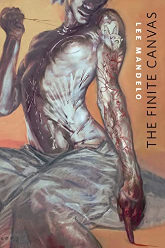 The Finite Canvas book cover
