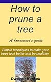 How To Prune A Landscape Tree - A Homeowner's Guide