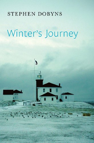 Winter's Journey book cover