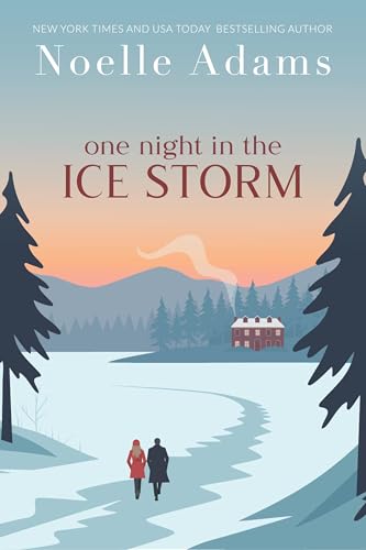 One Night in the Ice Storm book cover
