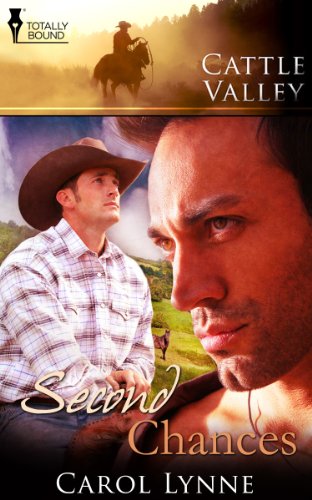 Second Chances book cover