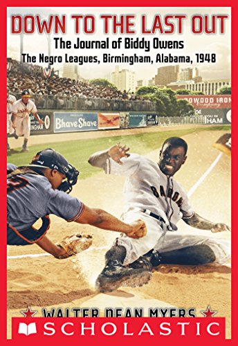 The Journal of Biddy Owens book cover