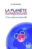 Plante Disneylandise Pour Un Tourisme Responsable Pour Un Tourisme Reponsable Essai