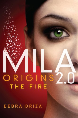 The Fire book cover