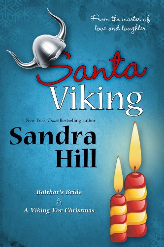 Santa Viking book cover