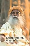 Enlightenment What It Is In The Presence Of The Master Book 1 English Edition