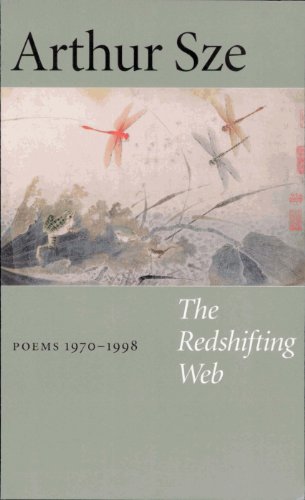 The Redshifting Web book cover
