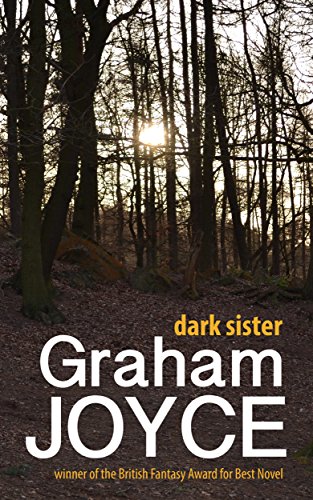 Dark Sister book cover
