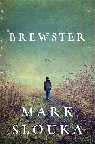 Brewster book cover