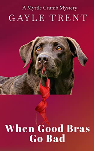 When Good Bras Go Bad cover