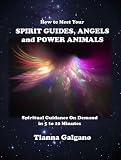 How To Meet Your Spirit Guides Angels And Power Animals Spiritual Guidance On Demand In 5 To 10 Minutes A Practical Guide English Edition