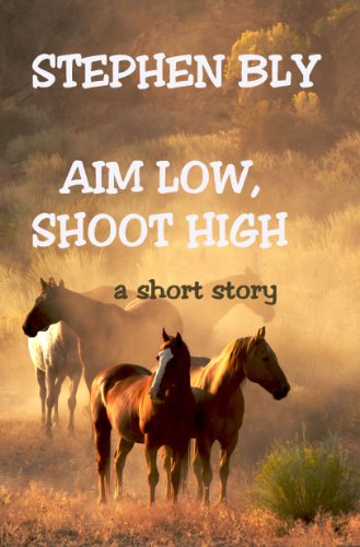 Aim Low, Shoot High book cover