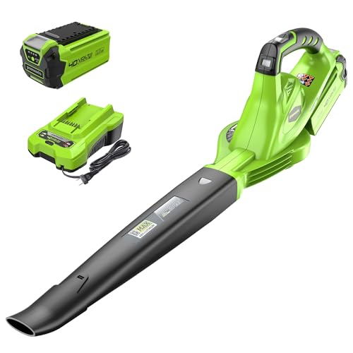 Greenworks 40V Leaf Blower/Sweeper, 150 MPH, Lightweight, Quiet, with 2.0 Ah Battery and Charger, Perfect for Residential Lawn Care, Leaf Blowing Debris, Dust, Light Snow, and More
